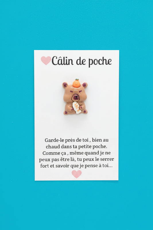 Câlin de poche ⭐